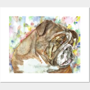 BULLDOG - watercolor portrait .6 Posters and Art